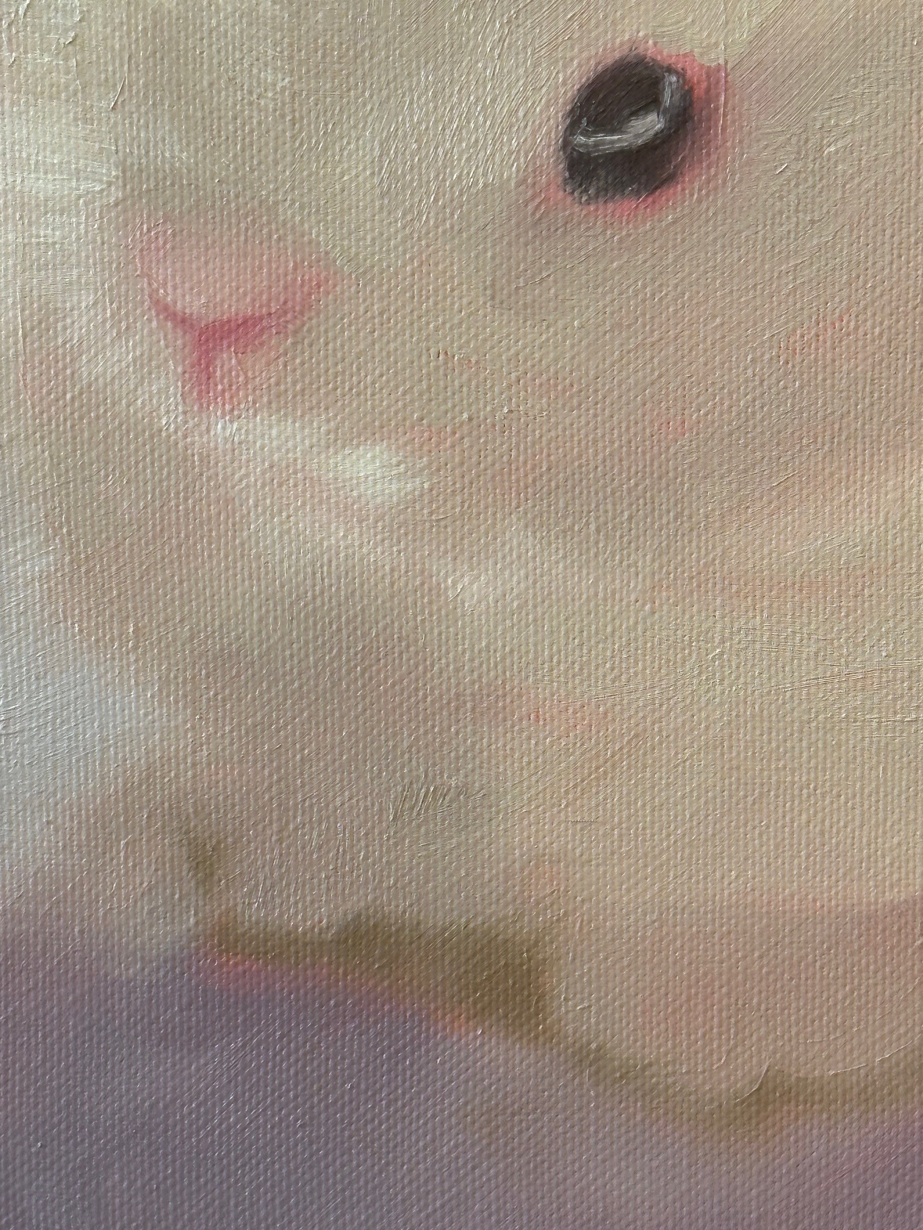 "Bunny" Original